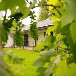 Ribiszke 3* Alsópetény