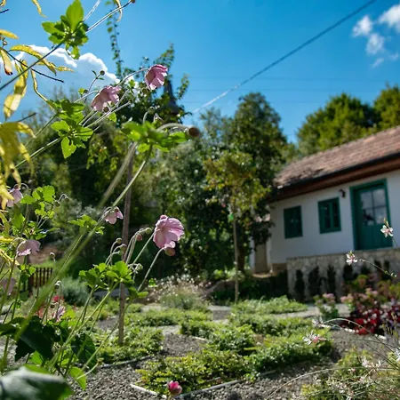 Alsopetenyi Vendeghazak Guest house *